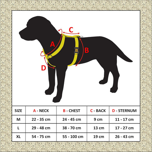 Dingo Dog Harness Do Not Pet Vest for Puppies, Dog in Training, Working Dog, Service Dog, Emotional Support Dog, Medium