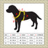 Dingo Dog Harness Do Not Pet Vest for Puppies, Dog in Training, Working Dog, Service Dog, Emotional Support Dog, Medium