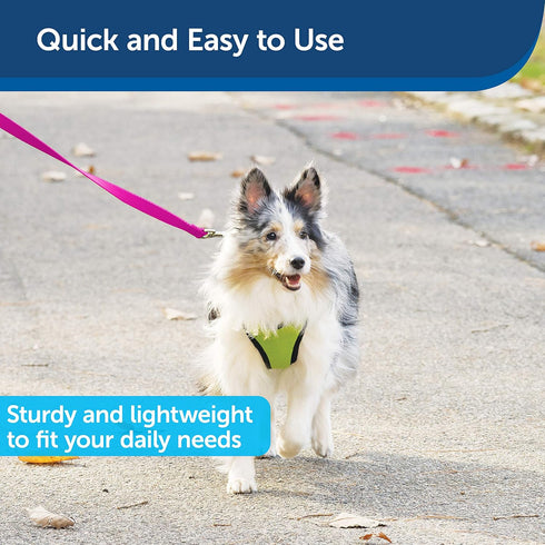 PetSafe Nylon Dog Leash - Strong, Durable Traditional Style with Easy Bolt Snap (3/4 in. x 3 ft., Raspberry Pink)