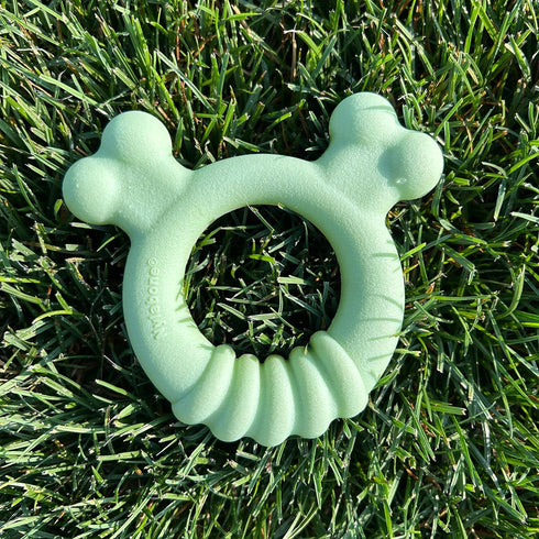 Nylabone Sensory Material Puppy Chew Toy Ring, Chicken Flavor Teething Toy for Boredom & Stimulation