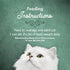 (Pack 24) 3 oz. Purina Fancy Feast Wet Cat Food, Medleys Tender Turkey Primavera With Tomatoes, Carrots and Spinach