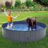 Niubya Foldable Dog Swimming Pool, Collapsible Hard Plastic Bath Tub for Pets, Indoor and Outdoor, 64 x 12 Inches
