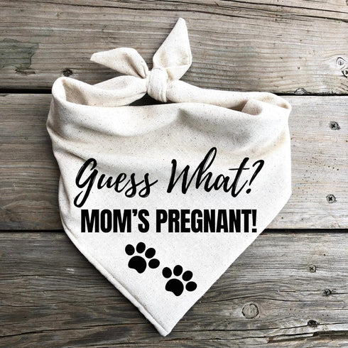 Generic Guess What? Mom's Pregnant Dog Bandanas Baby Announcement Pregnancy Announcement Oatmeal Beige Minimal (Large)