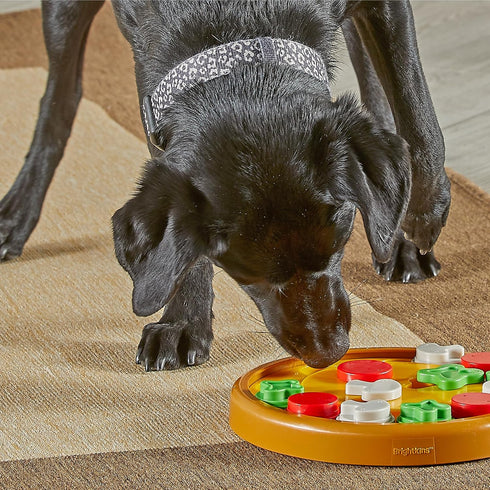 Brightkins Pizza Party! Treat Puzzle - Interactive Dog Puzzle Toys, Fun Gifts for Dogs