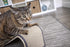 SmartyKat Sisal Angle Cat Scratch Ramp, Includes Catnip, Natural, One Size