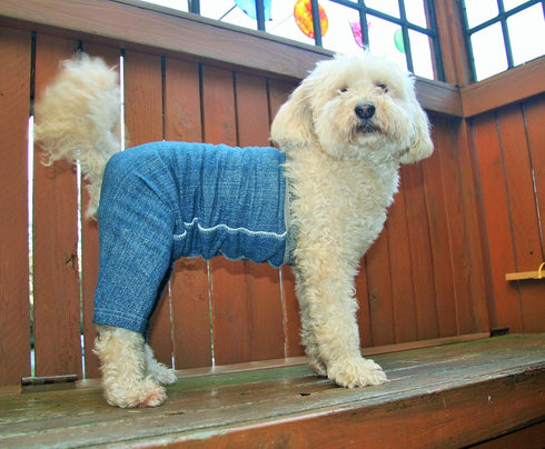 Original Dog Pants, E-Collar Alternative, Blue Dog Pajamas, Small Dog Diaper