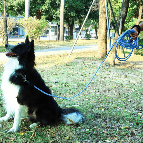 Long Dog Leash for Training, 16FT/30FT/50FT/100FT Reflective Leash with Lockable Hook for Dogs Outside