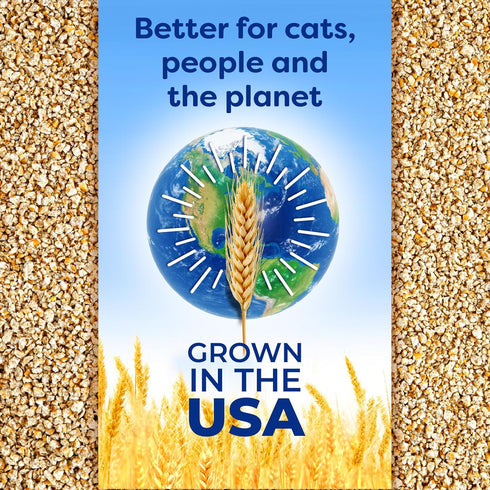 Natural Wheat Cat Litter, 14 Pound Bag, Original, Fast Clumping with Odor Neutralizing Enzymes