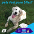Vetnique Labs Furbliss Hygienic Pet Wipes for Dogs & Cats, 100ct Pouch, Hypoallergenic Thick Wipes with All Natural