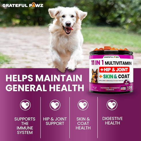Immune Dog Multivitamin Chewable with Glucosamine - Dog Vitamins and Supplements, Senior & Puppy Multivitamin for Dogs