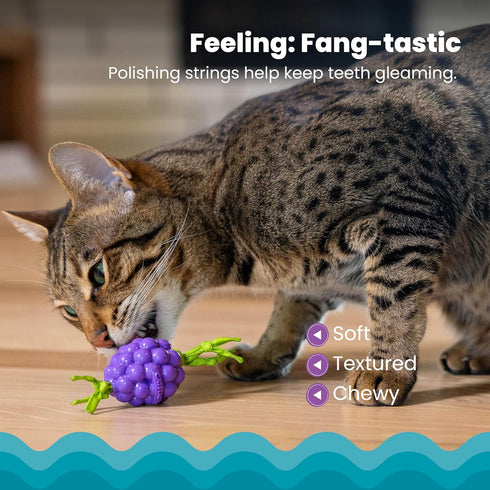 Catstages Bouncing Grape Teether Toy for Cats - Soft Chew with Catnip Coating