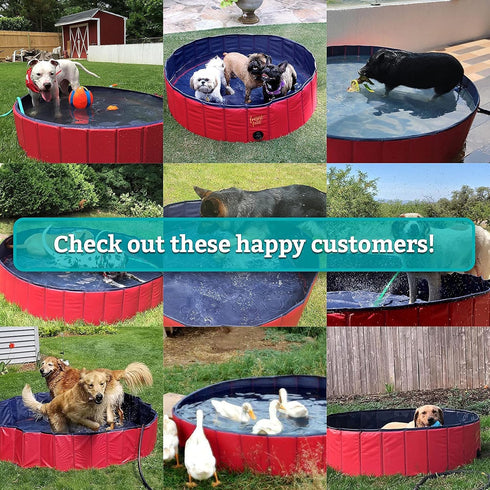 Frontpet Foldable Dog Pool - Collapsible Bathing Tub and Kiddie Pool for Small, Medium and Large Dogs