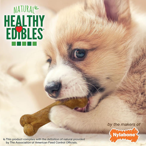 Nylabone Healthy Edibles Natural Puppy Chews, Long Lasting Lamb & Apple Flavor, X-Small/Petite, 8 Count