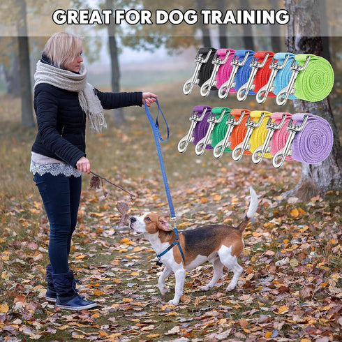 12 Pcs Nylon Dog Leash Bulk, 5ft Dog Training Leash in 12 Colors, Puppy Traction Rope for Small Medium Dogs