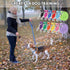 12 Pcs Nylon Dog Leash Bulk, 5ft Dog Training Leash in 12 Colors, Puppy Traction Rope for Small Medium Dogs