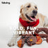 fabdog Floppies Plush Dog Toy - Cute & Durable Squeaky Toy, Ideal Gift for Puppies and All Breeds
