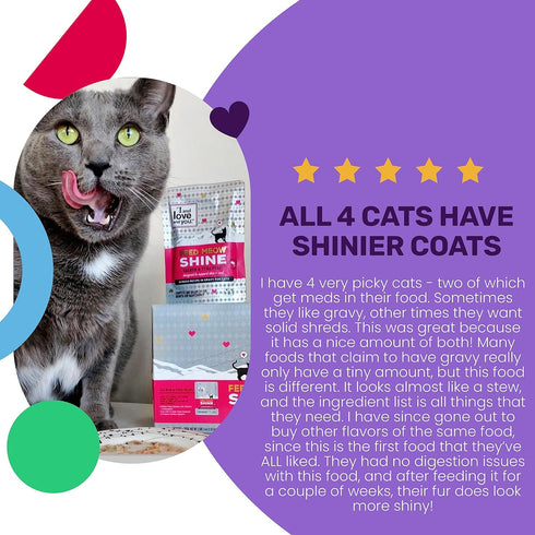 I AND LOVE AND YOU Feed Meow Shine Wet Cat Food, Salmon + Tuna, Grain Free, Shredded, 3oz, Pack of 12