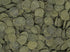 Mini Algae Discs for Aquarium Cleaning