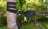 Hammock Bliss Deluxe Cinching Tree Straps, Heavy Duty Extra Long Adjustable Tree Straps, Set of 2 for Camping Hammock