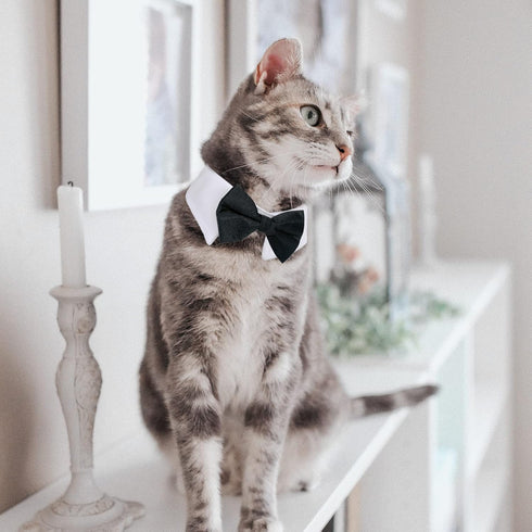 Dog Cat Tuxedo Collar with Bowtie, Cat Wedding Bowtie Costume for Birthday Easter Valentines Dog Cat Puppy