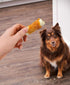 Generic 20.95 oz 36 Count, Packaging Beefhide Rolls Coated with Real Chicken, Bag, Long-Lasting Chew Sticks, Promotes