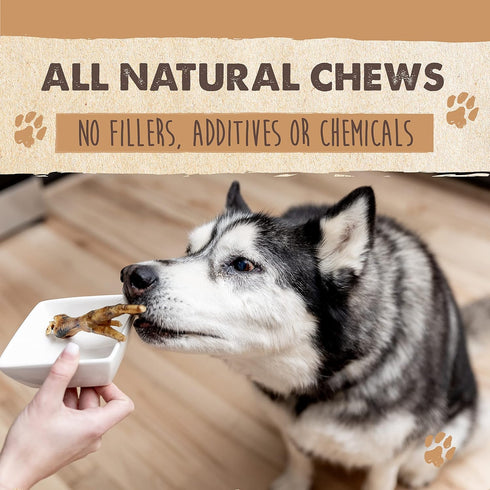 Mighty Paw Naturals Chicken Feet Dog Treats (30 Pack) | 100% Natural Dehydrated Chicken Feet for Dogs