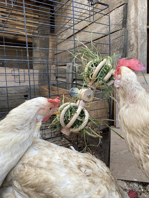 Spinning Feeder Ball Toy for Chickens, Food Holder for Backyard Coops, Enrichment Hay Ball, Gift for Chicken Keepers