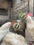 Spinning Feeder Ball Toy for Chickens, Food Holder for Backyard Coops, Enrichment Hay Ball, Gift for Chicken Keepers