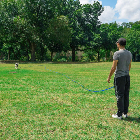 Hi Kiss Dog/Puppy Obedience Recall Training Agility Lead, 15ft, 20ft, 30ft, 50ft, 100ft Training Leash