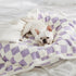 Lesure Waterproof Dog Blanket for Medium Dogs, Washable Double Sided with Warm Jacquard Shag & Soft Sherpa Fleece,