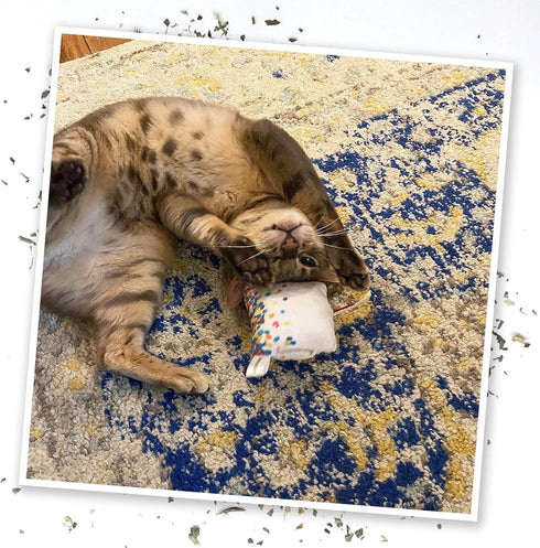 Meowijuana Birthjays Bundle, Catnip Joints and Get Lit Cake Refillable Toy, Hand Harvested Catnip