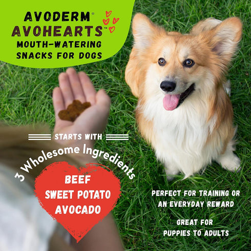 AvoDerm AvoHearts Beef and Avocado Formula Dog Treats, 5 oz bag