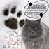 2 oz. The Blissful Cat Paw Butter, Moisturizer for Dry Paw Pads, Softens and Protects Rough Feet, Versatile, Lick-Safe