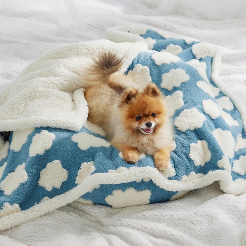 Lesure Waterproof Puppy Blanket, Washable Double Sided Dog Blanket with Warm Jacquard Shag and Soft Sherpa Fleece, Pet