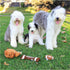 Huxley & Kent for Dogs | Football Bone (Large) | Power Plush Toy with Squeaker, Cute Dog Gift