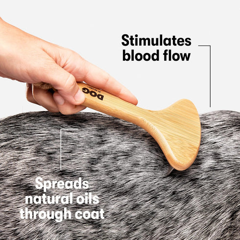 DOG by Dr Lisa Rake Brush for Dogs - Grooming Tool for Thick Coats, Sustainable Bamboo, Vet-Created