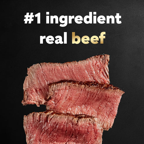 CESAR Wet Dog Food Classic Loaf in Sauce: Filet Mignon Flavor (24) 3.5 oz Easy Peel Trays