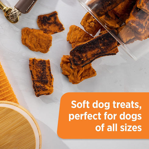 Rachael Ray Nutrish Turkey Bites: Real Meat Grain Free Dog Treats, Turkey Recipe with Hickory Smoked Bacon Flavor, 12