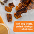 Rachael Ray Nutrish Turkey Bites: Real Meat Grain Free Dog Treats, Turkey Recipe with Hickory Smoked Bacon Flavor, 12