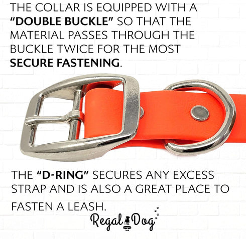 Regal Dog Products Small Orange Dog Collar - Heavy Duty Double Buckle & D Ring, Adjustable Biothane Chew Resistant