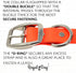 Regal Dog Products Small Orange Dog Collar - Heavy Duty Double Buckle & D Ring, Adjustable Biothane Chew Resistant
