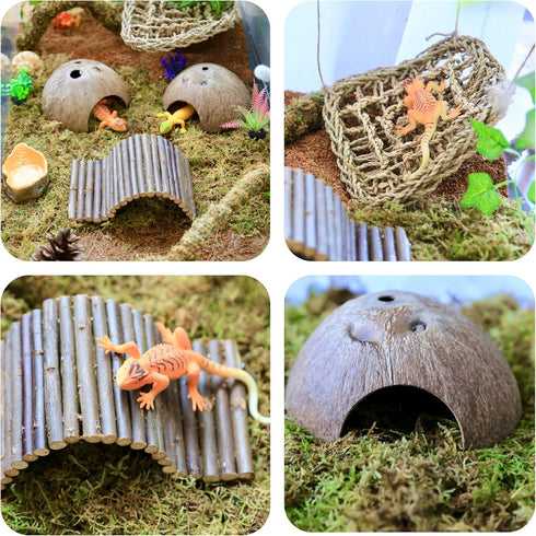 8PCS Hammock, Hermit Crab Accessories Natural Hermit Crab Shells, Coconut Hideout, Climbing Toys Moss, Plants & Water