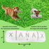 Generic Chill Xan Bar Novelty Dog Toy, Plush Squeaky Crinkle Chew Toy, White, All Breed Sizes, Boredom Buster