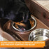 Neater Pet Brands Stainless Steel Slow Feed Bowl for Dogs or Cats - 3 Cup, Fits Neater Feeders & Other Raised Feeders