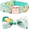 ARING PET Bowtie Dog Collar Adjustable Collars with Bow Tie for Small, Medium, Large Dogs
