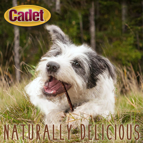Cadet Premium Grade Munchy Beef Hide Sticks, Beef Flavor, 5 Inch, 100 Pack