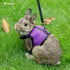 Niteangel Adjustable Soft Harness with Elastic Leash - For Rabbits (M, Black)