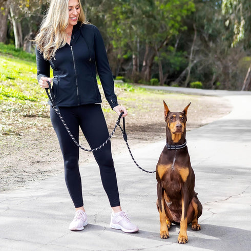 6 Foot Dog Leash with 2 Extra Padded Handles - Heavy Duty No Pull Rope Lead with Lockable Carabiner for Medium to Large
