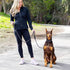 6 Foot Dog Leash with 2 Extra Padded Handles - Heavy Duty No Pull Rope Lead with Lockable Carabiner for Medium to Large
