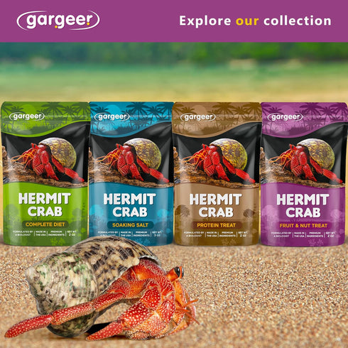 Yummy 2oz Gargeer Hermit Crab Fruit and Nuts Treat. Non-GMO Premium Ingredients, to Meet All Nutritional Needs.